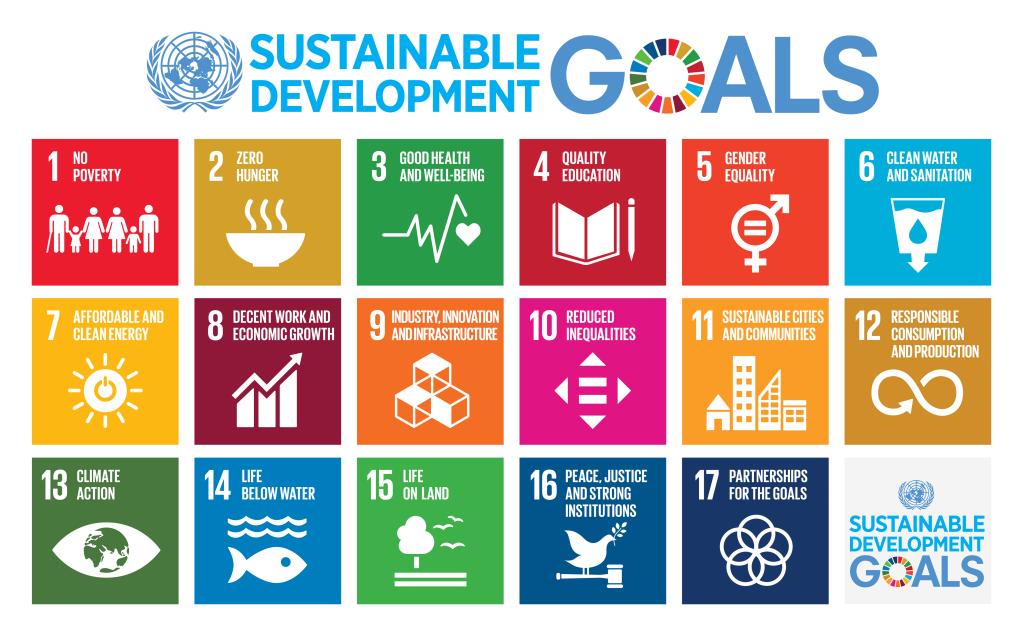 Bold action to rescue SDGs in Pakistan