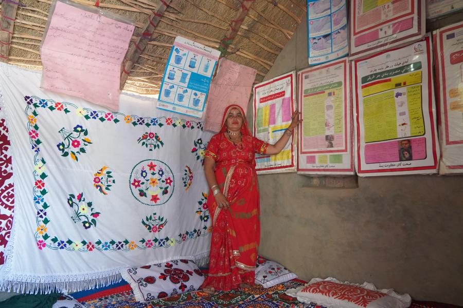 Pakistan’s Lady Health Workers