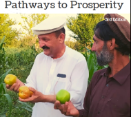 Pathway to Prosperity - A collection of Naway Wraz Programme's success stories
