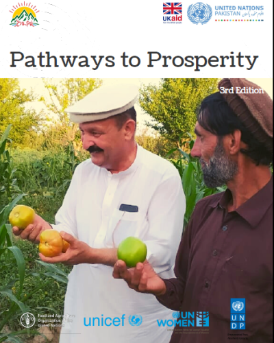 Pathway to Prosperity - A collection of Naway Wraz Programme's success stories