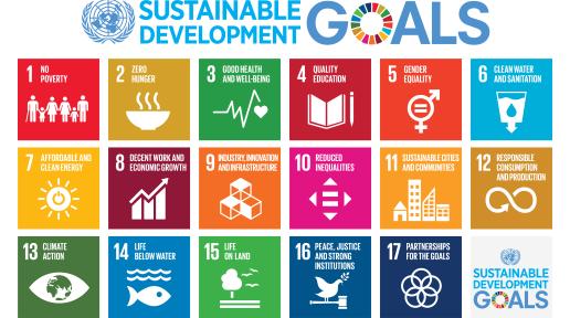 Bold action to rescue SDGs in Pakistan